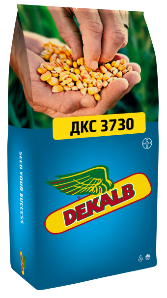 ДКС 3730 семена кукурузы Декалб
