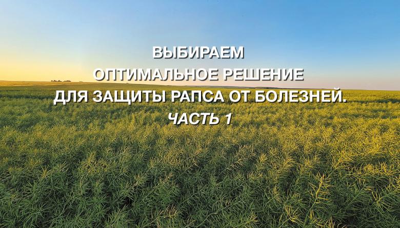 Выбираем оптимальное решение для защиты рапса от болезней. Часть 1