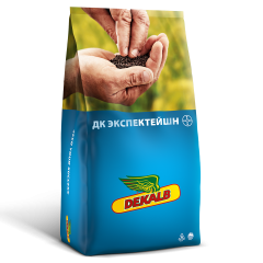 ДК Экспектейшн