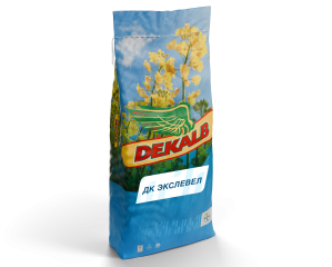ДК Экслевел