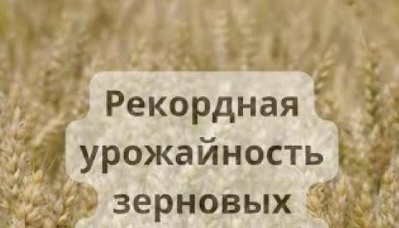 Рекорды урожайности. Овес для желудка. Посевная в поле. Сбор пшеницы. Урожай зерна.