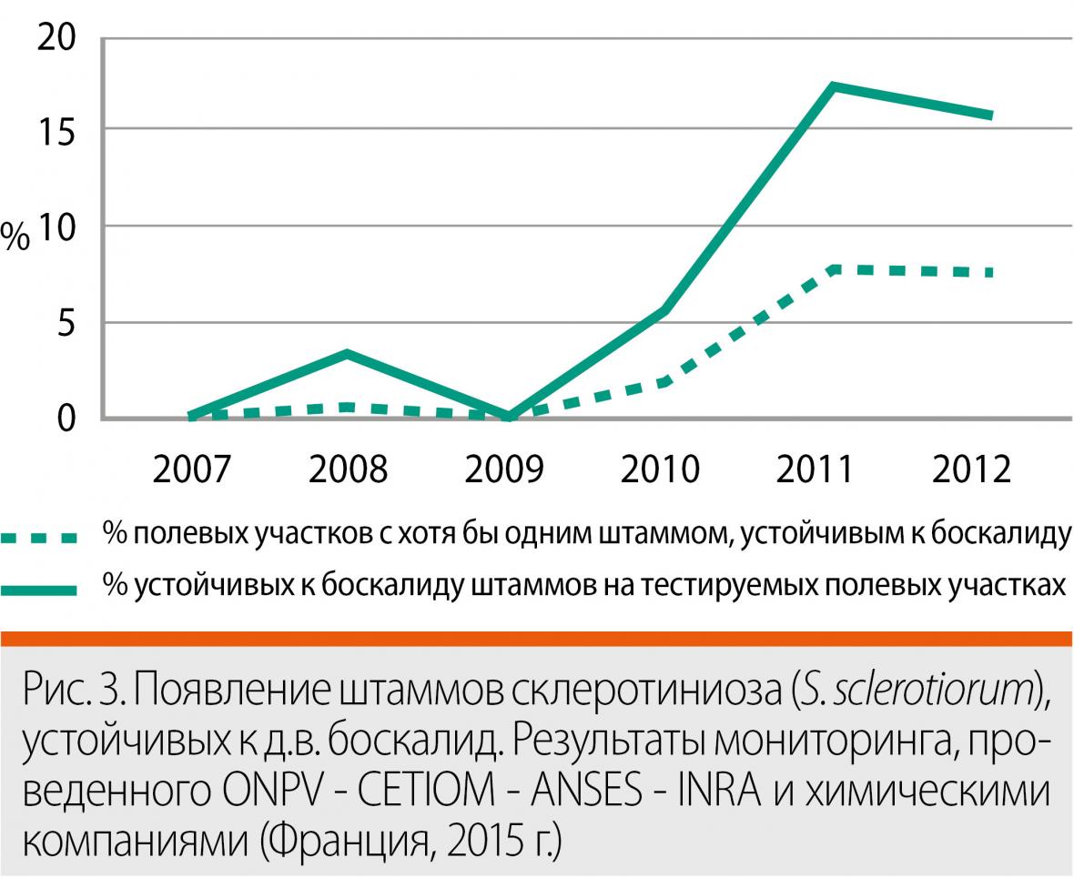 склеротиниоз