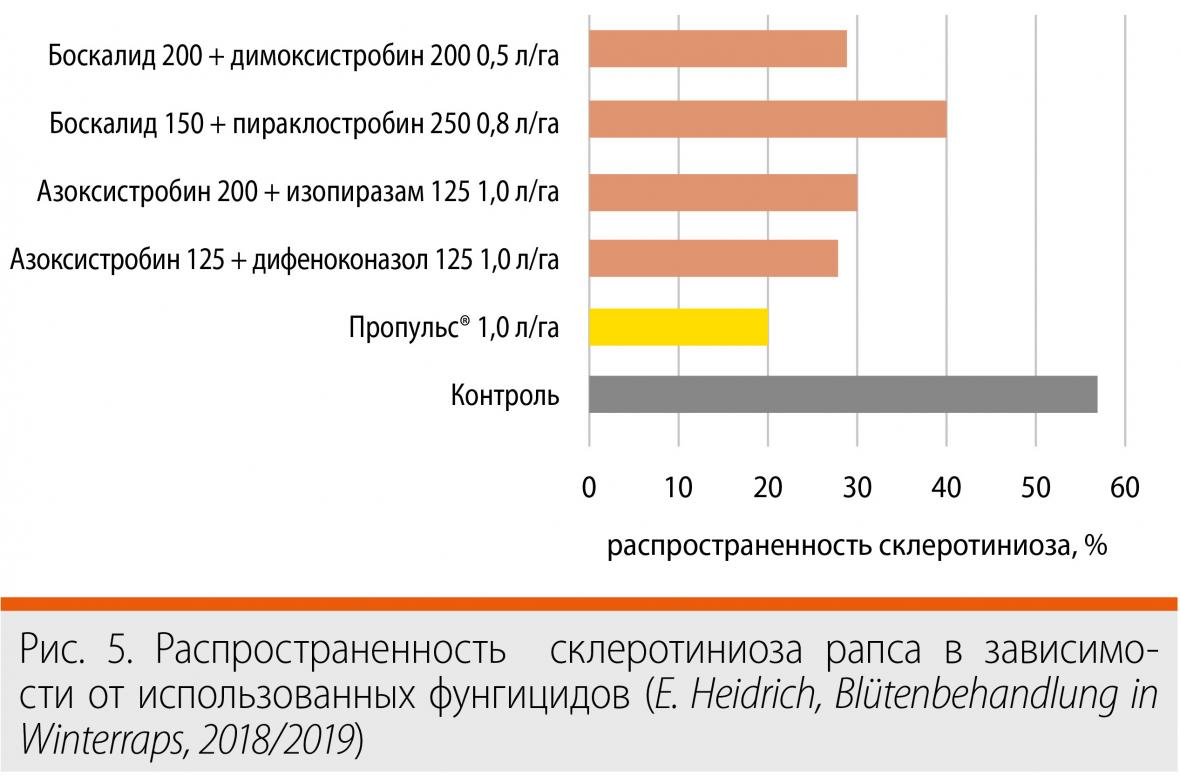 фунгицид рапс