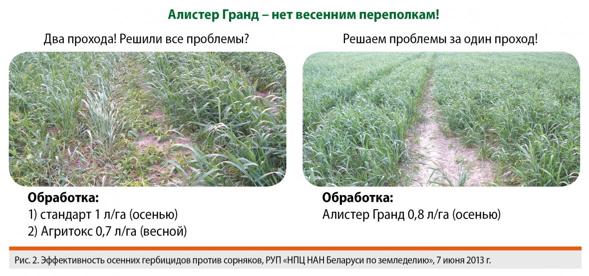 прополка Алистер Гранд