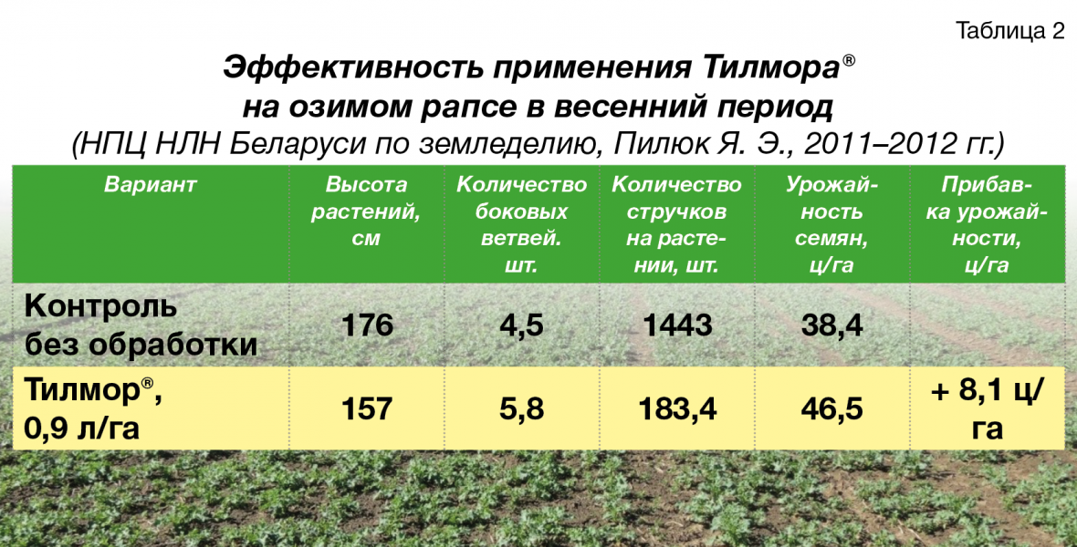 Бизнес план по выращиванию рапса