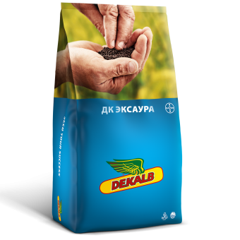 ДК Эксаура
